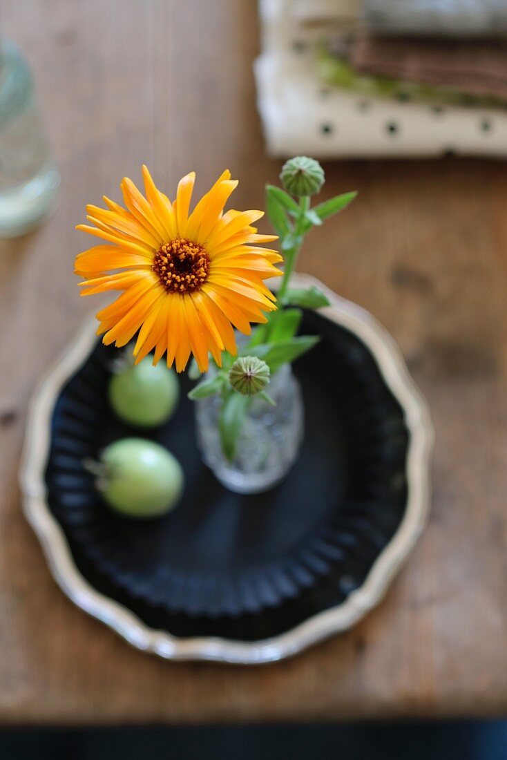 Blick von Oben auf gelbe Aster in Glasvase auf Holztisch im Boho-Stil