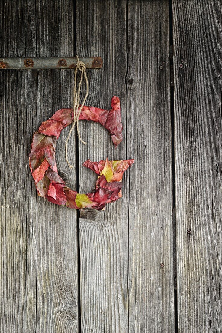 Letter G wrapped in autumn leaves and hung on board door