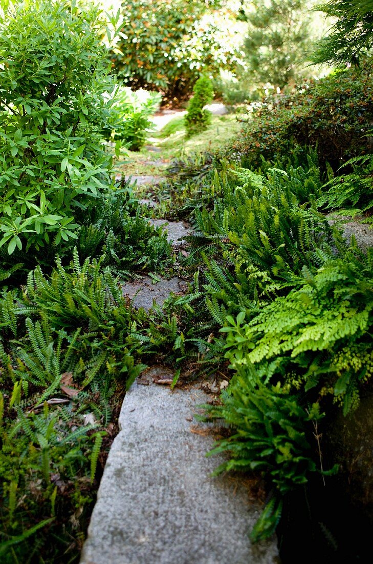 Gartenweg aus Steinplatten