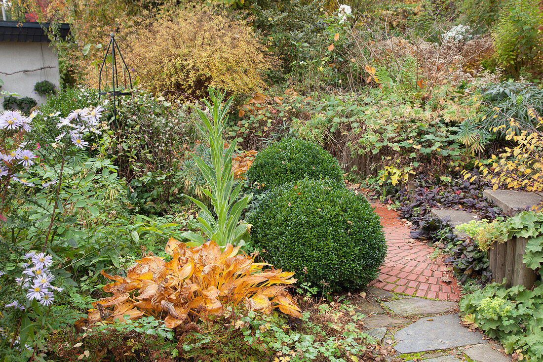 Stone path leading through herbaceous borders in autumnal garden