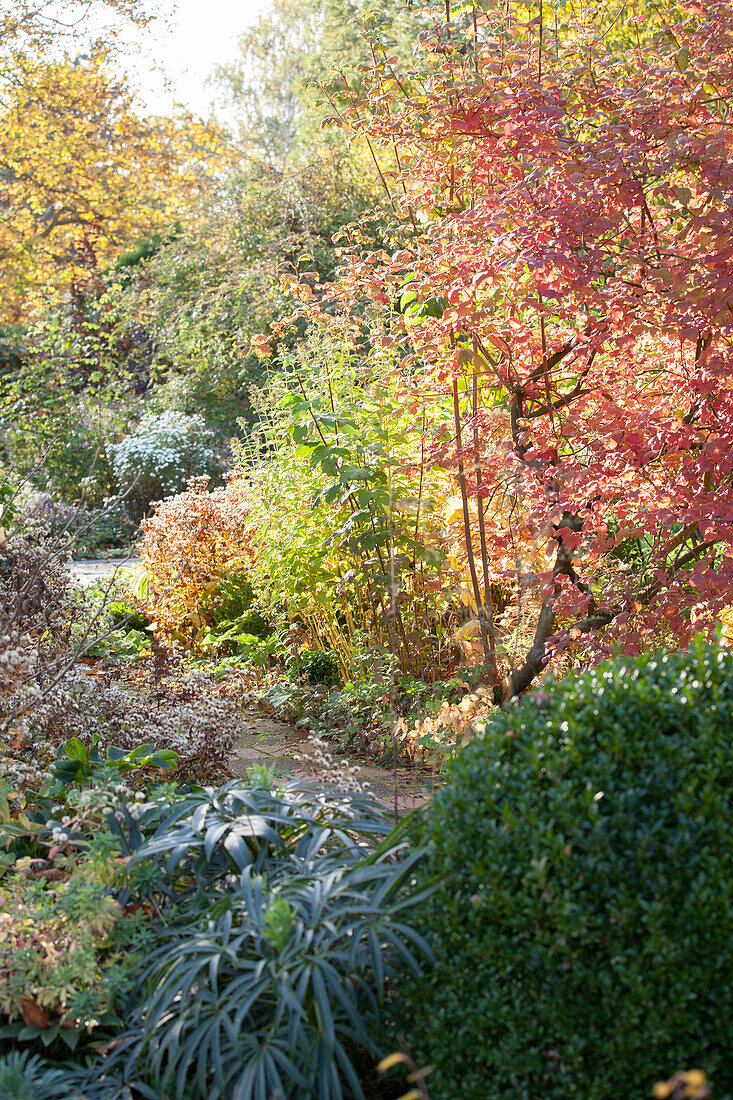 Herbstlich gefärbter Staudengarten