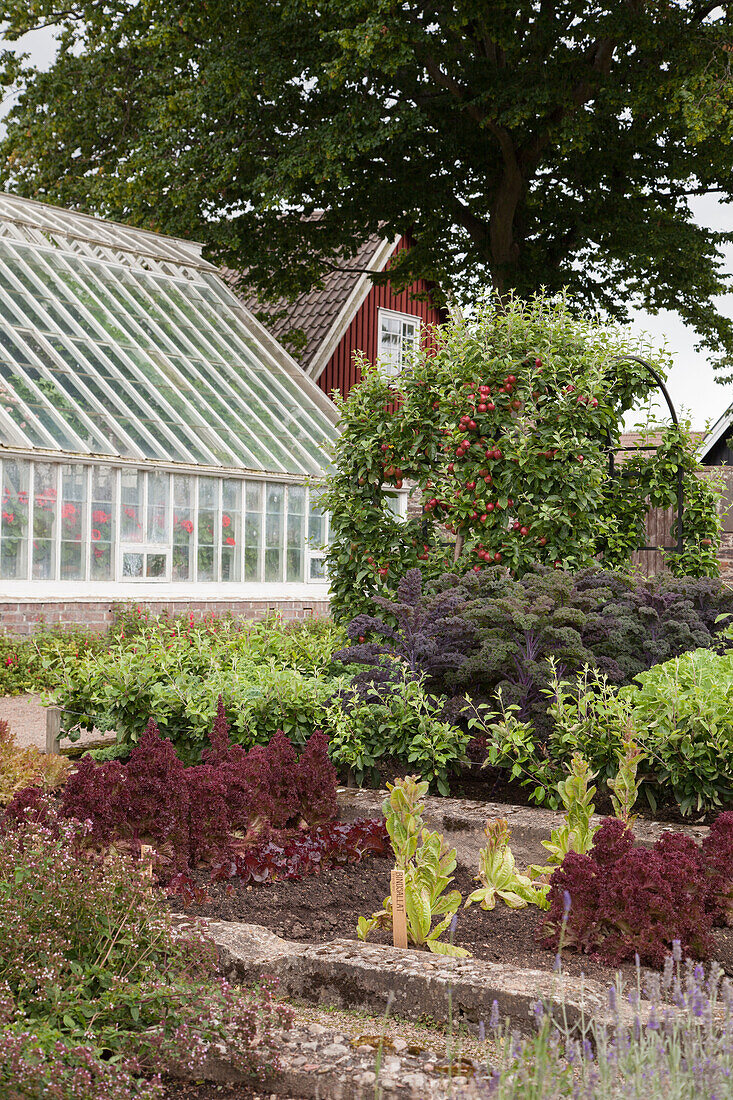 Gemüsebeete und Gewächshaus im Garten mit Schwedenhaus im Hintergrund