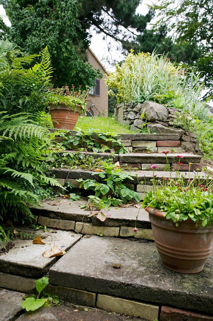 Vintage Treppe aus Steinplatten im Garten mit Blumentöpfen auf Stufen