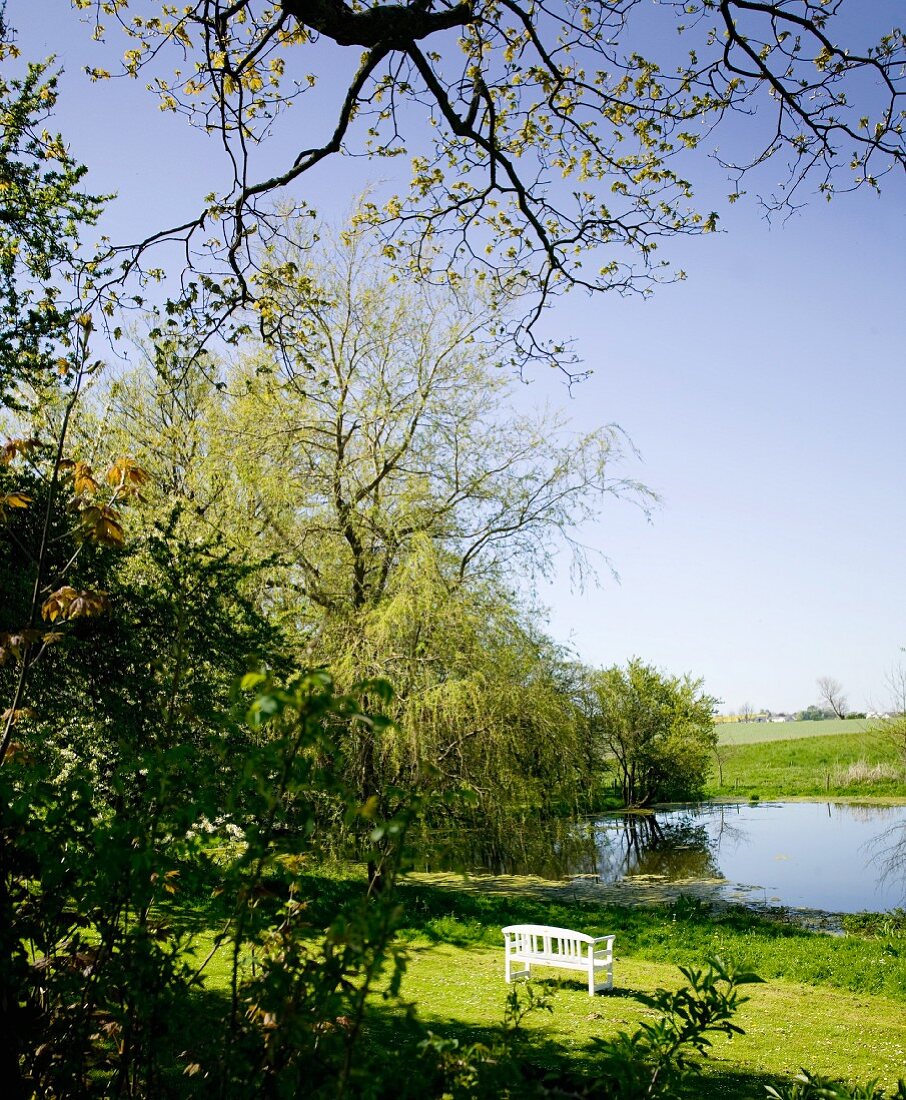 weiße Gartenbank auf grüner Wiese vor Teich in ländlicher Umgebung