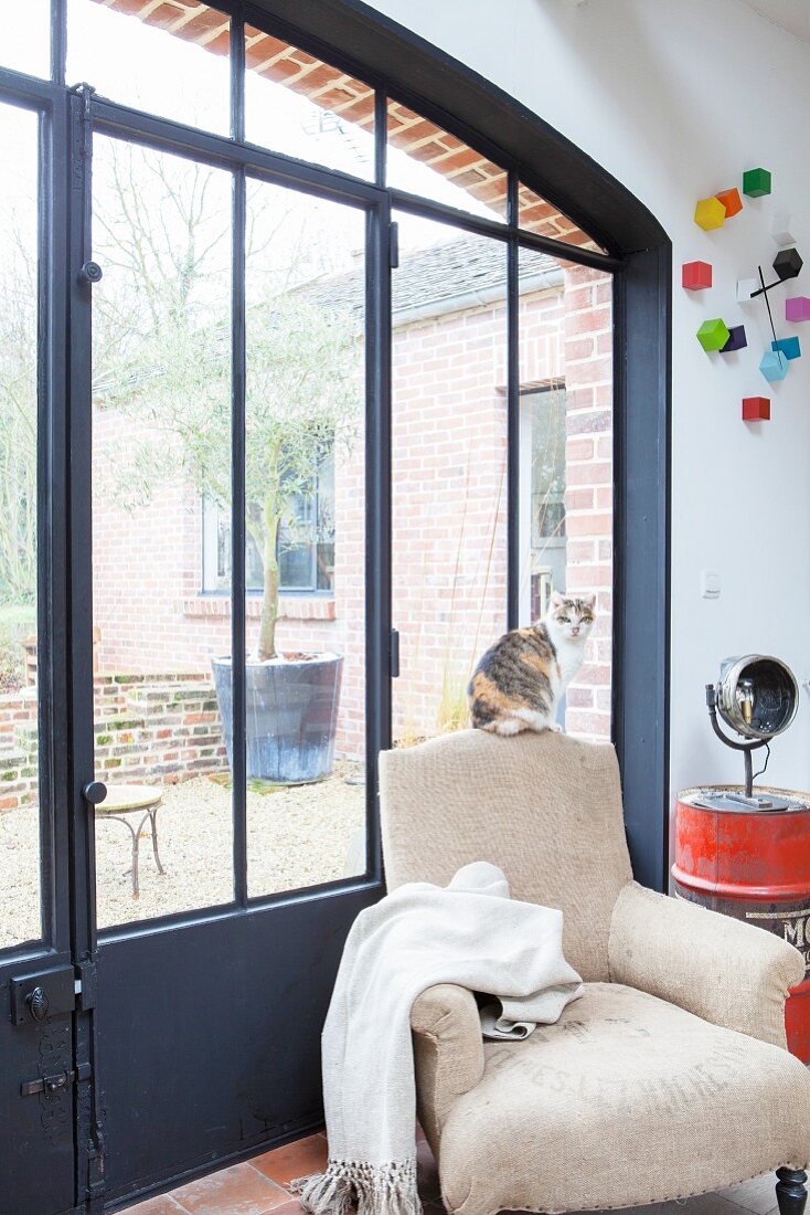 Cat sitting on vintage armchair in front of glass and metal door