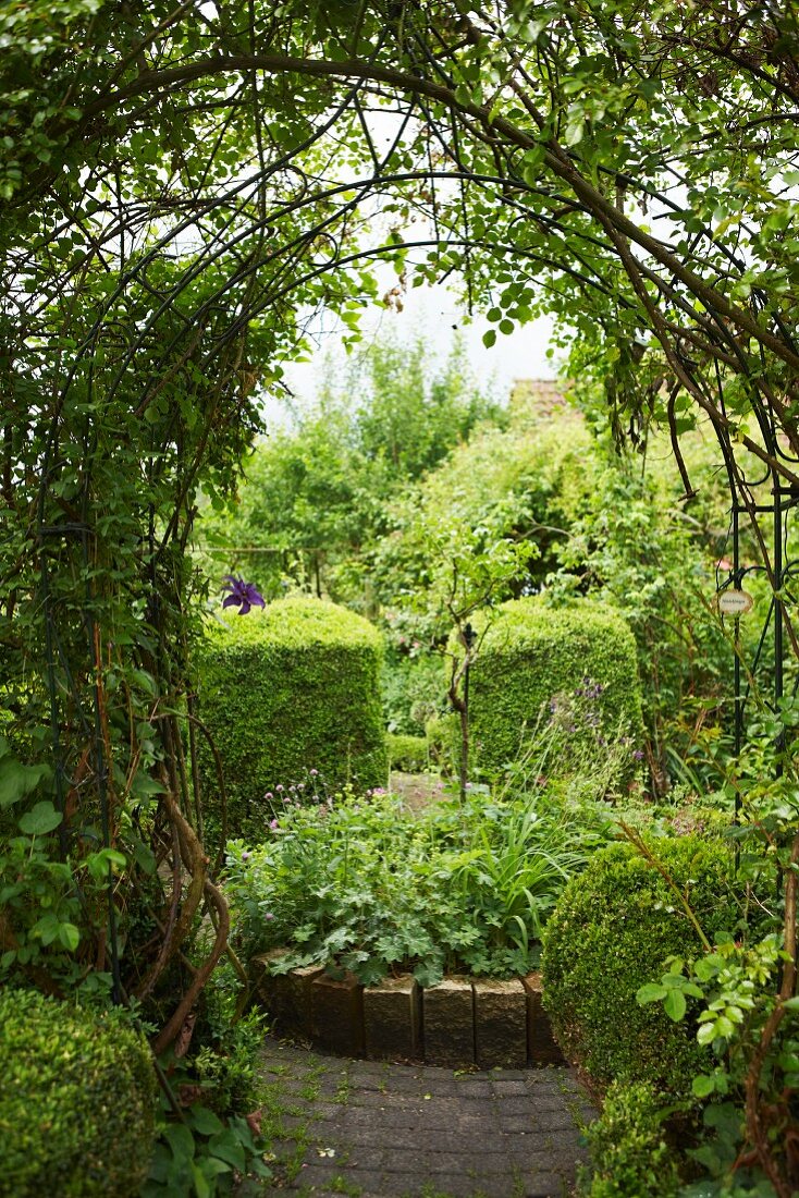 View into green garden through trellis archway