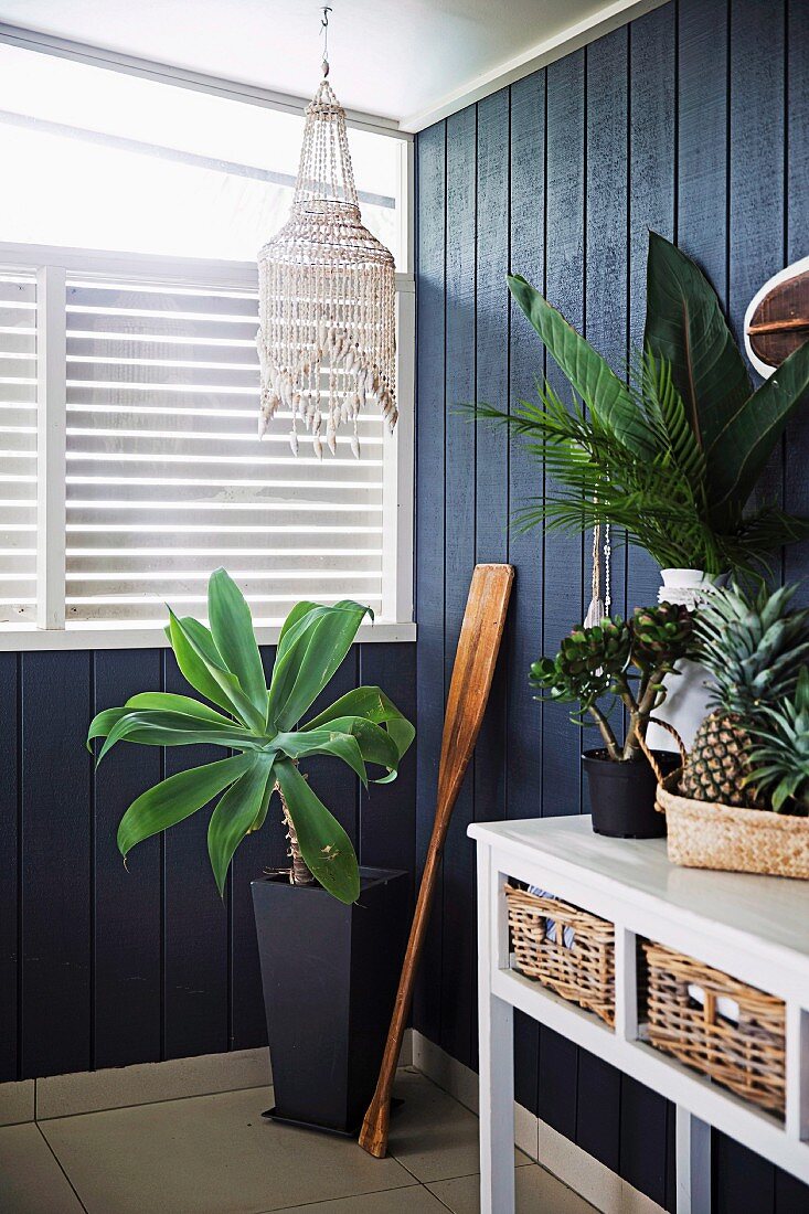 Palm tree next to wooden paddle and white wall table against blue wooden wall
