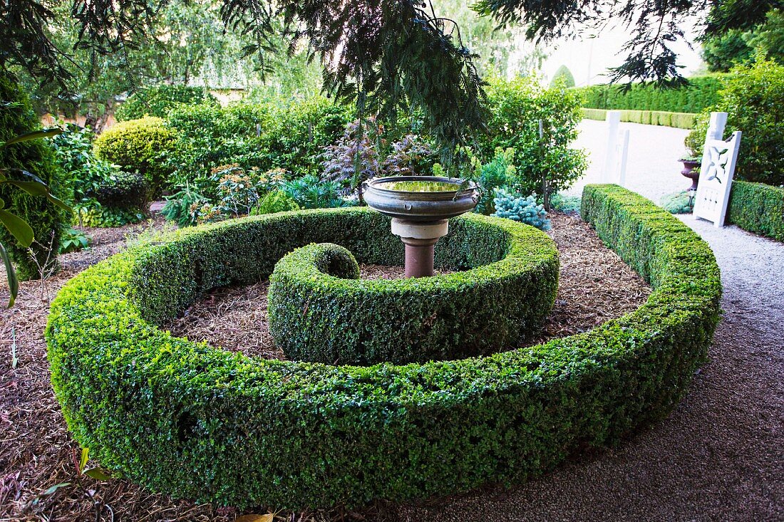 Spiral, half-height box hedge with bird bath