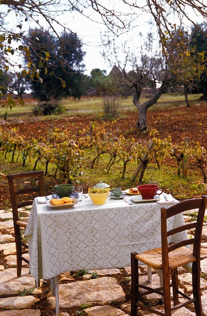 Rustic set table on terrace amongst grape vines