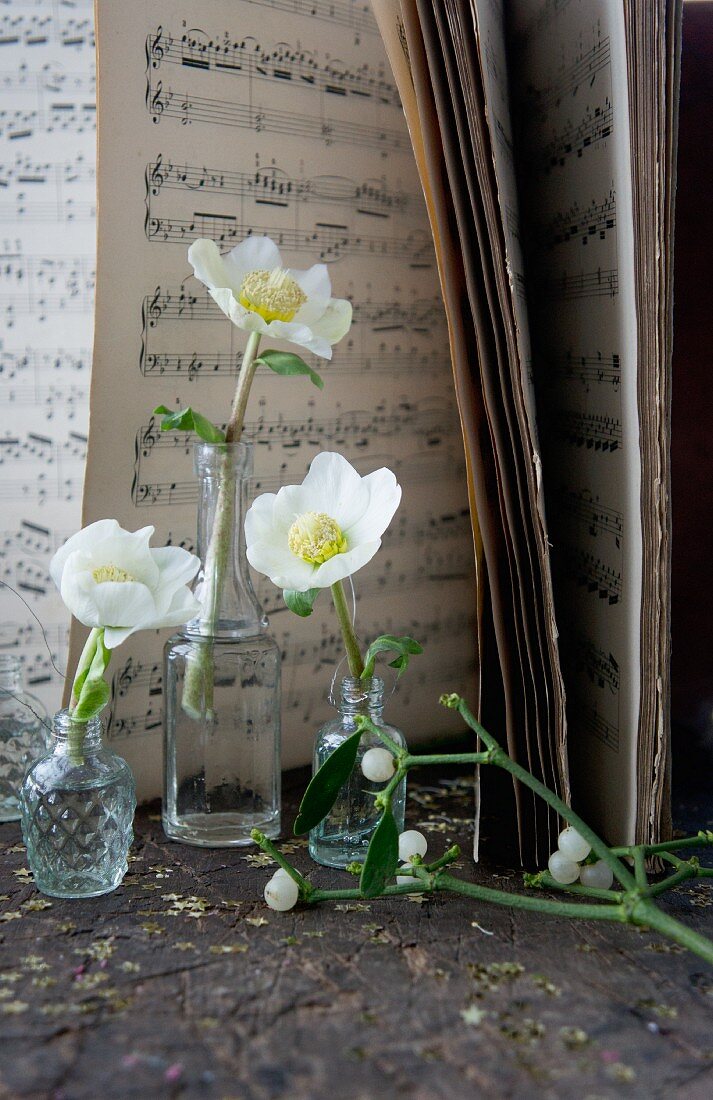 Hellebores in small glass bottles in front of sheet music