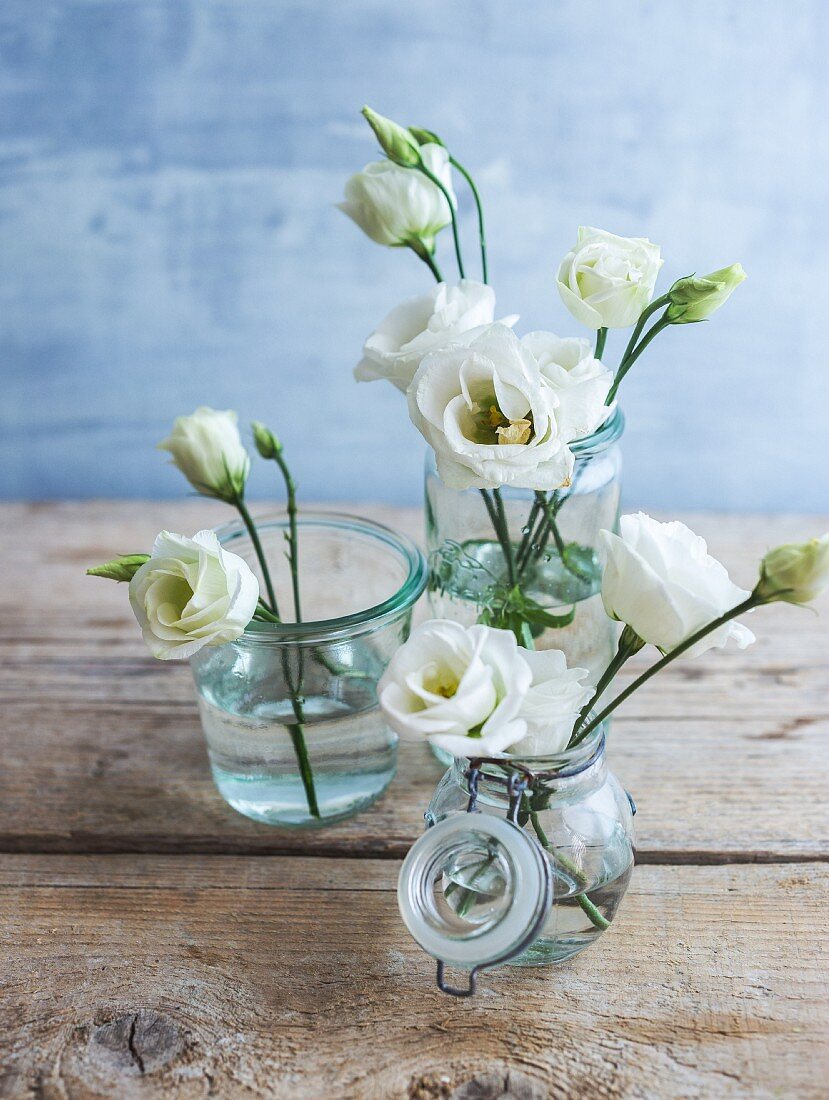weiße Blumen in Vintage Gläser