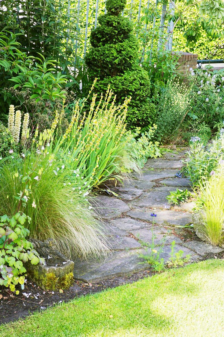 Stone-flagged garden path surrounded by flowering perennials, yellow-eyed grass and feather grass
