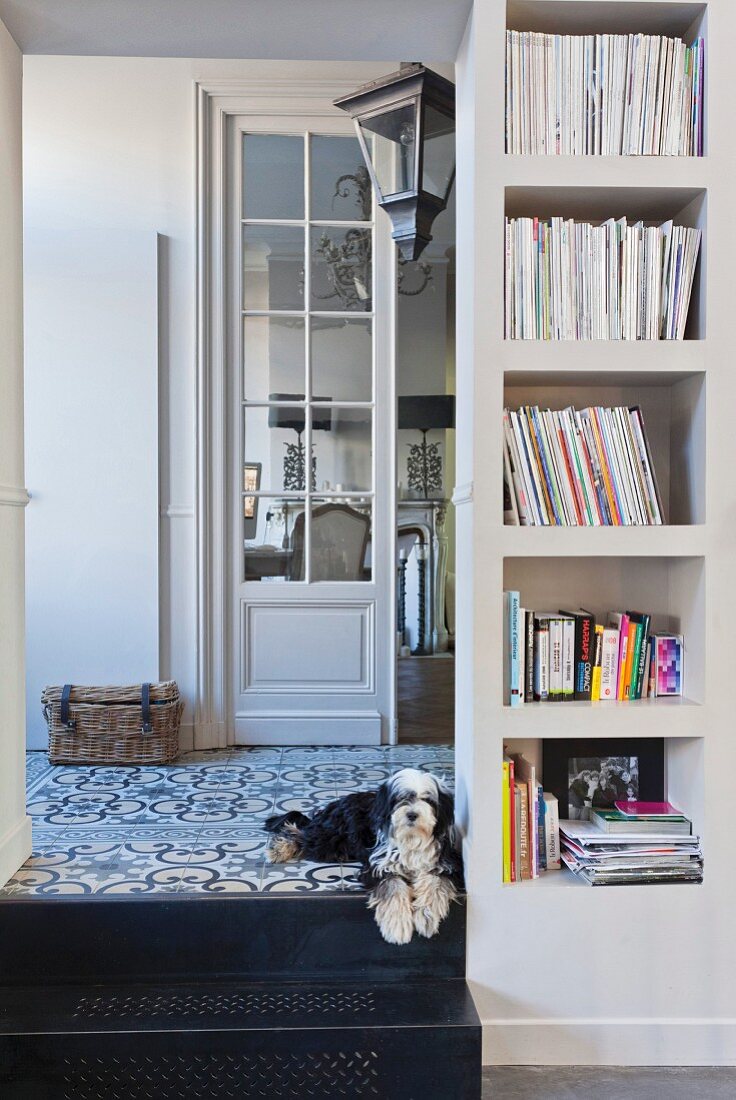 Dog lying on steps next to masonry bookshelves