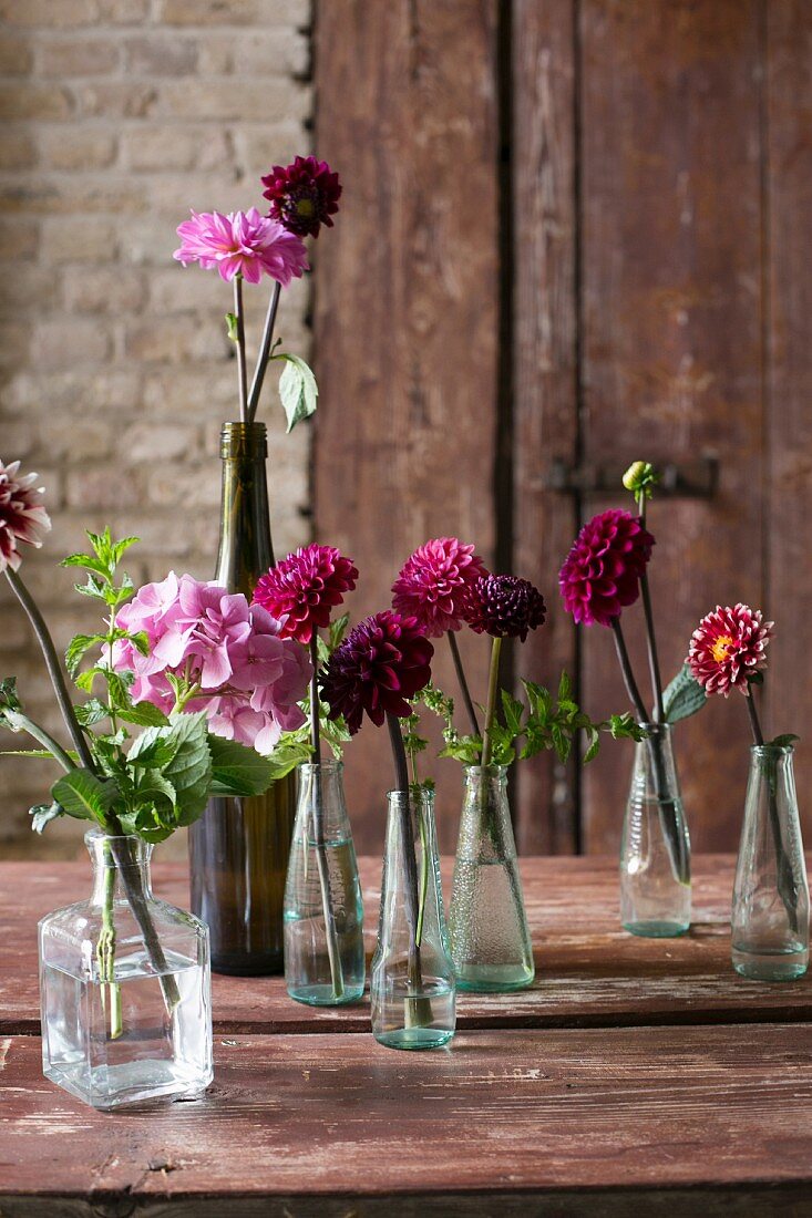 Flowers arranged in various vases on wooden table