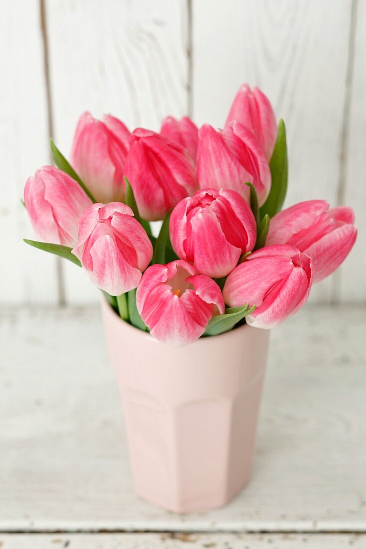 Pink tulips in pale pink vase