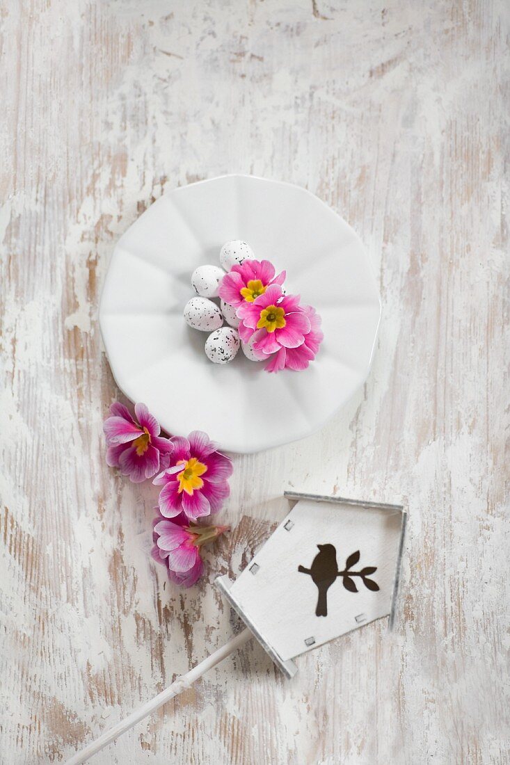 Easter eggs and pink primula flowers on plate next to tiny bird box