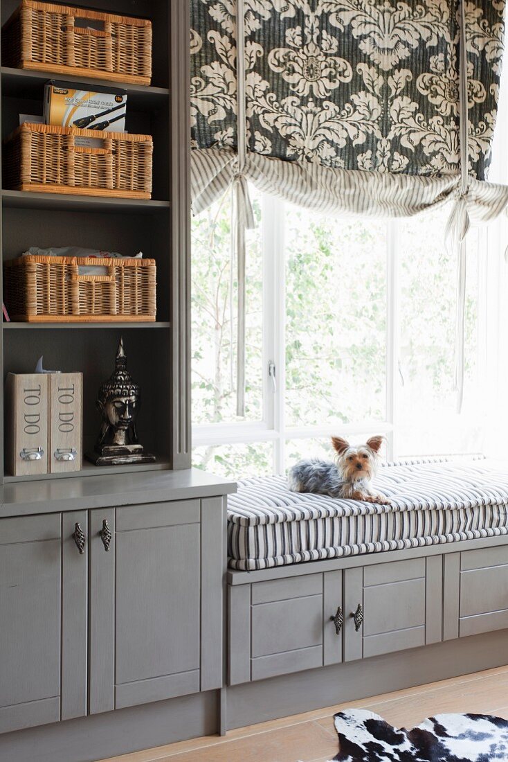 Massgefertigter, grau lackierter Regalschrank mit Sitzbank, kleiner Hund auf Polster vor Fenster, Raffrollo mit Ornament Muster