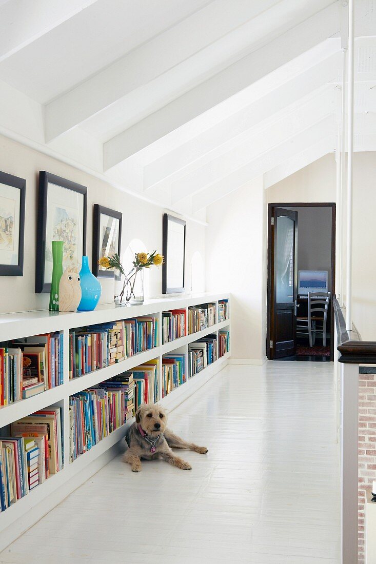 Bücherregal im niedrigen Kniestockbereich eines Galeriegangs, davor ein liegender Hund