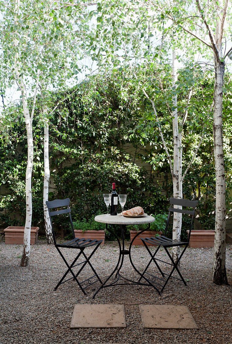 Birken um Sitzplatz mit schwarzen Metallstühlen und rundem Bistrotisch auf Kiesfläche im Garten