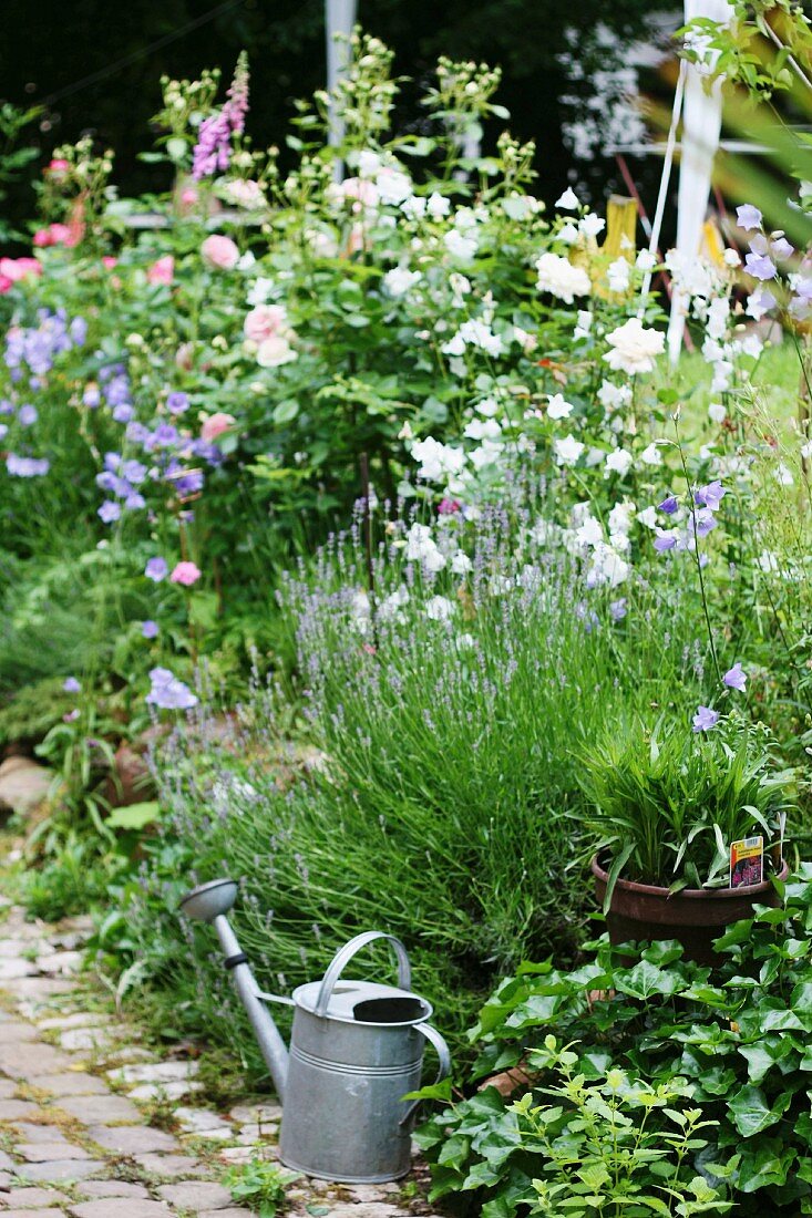 Zinc watering can in front of flowering cottage garden