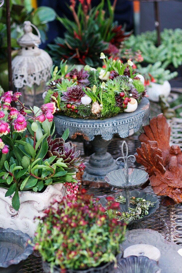 Wreath of succulents on stand amongst potted plants and metal ornaments
