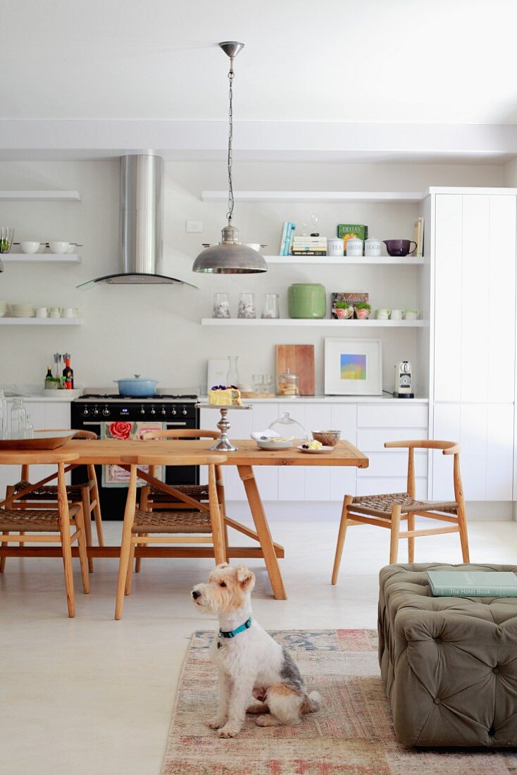 Dog sitting on rug in front of pouffe with dining area in open-plan kitchen in background