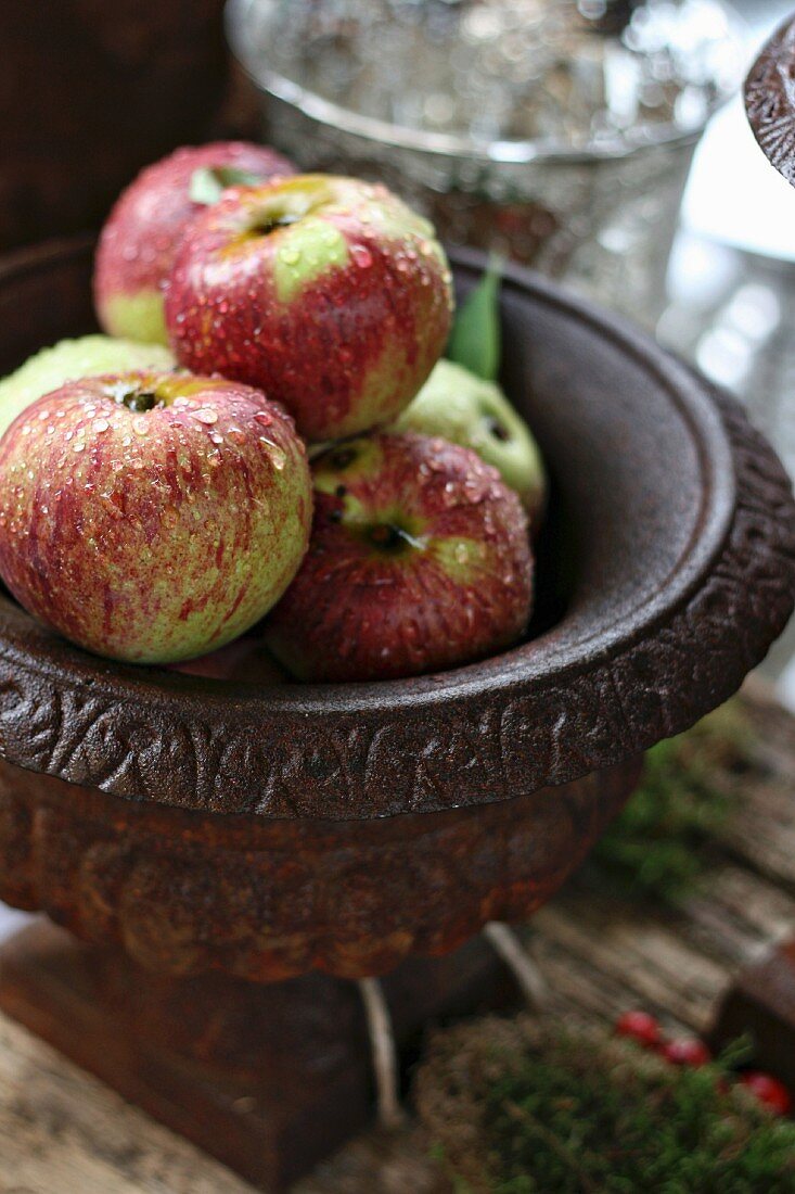 Äpfel in einer Eisenschale