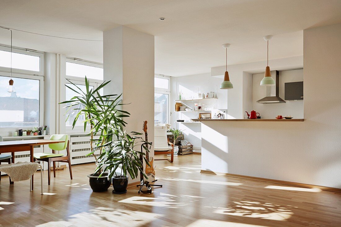 Sunny interior; potted palm trees in front of pillar between open-plan kitchen and fifties-style dining area