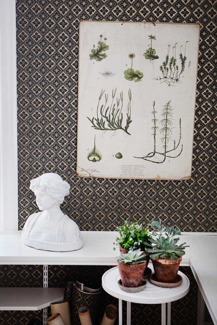 Botanical illustration on wall with decorative, patterned wallpaper above bust of woman and house plants on small table