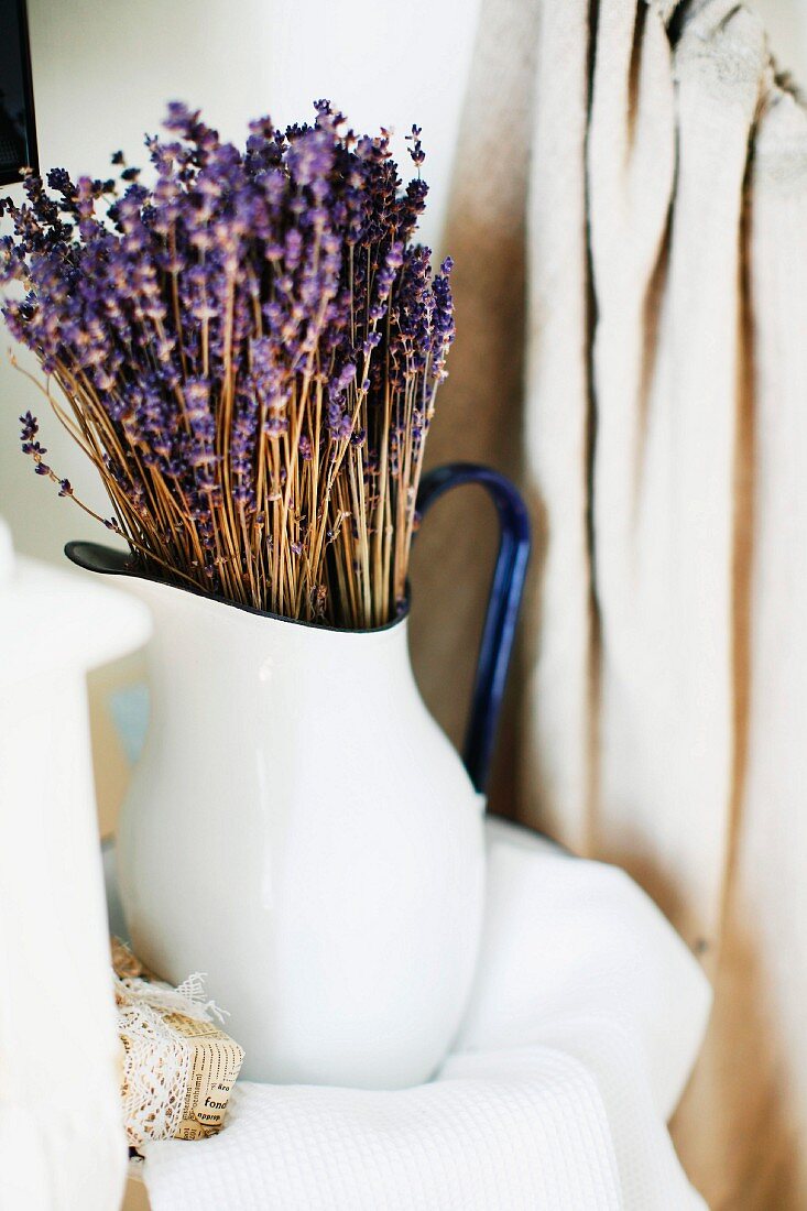 Bouquet of dried lavender in white, vintage metal jug