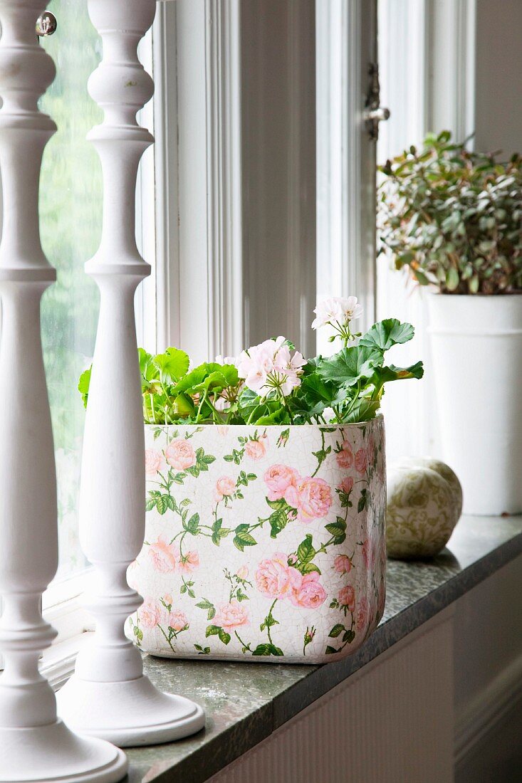 Geranium in white planter with pattern of roses on windowsill