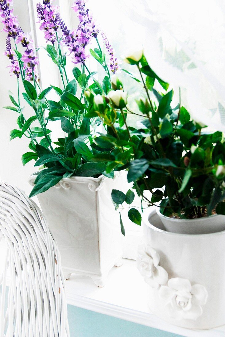 White plant pots in windowsill