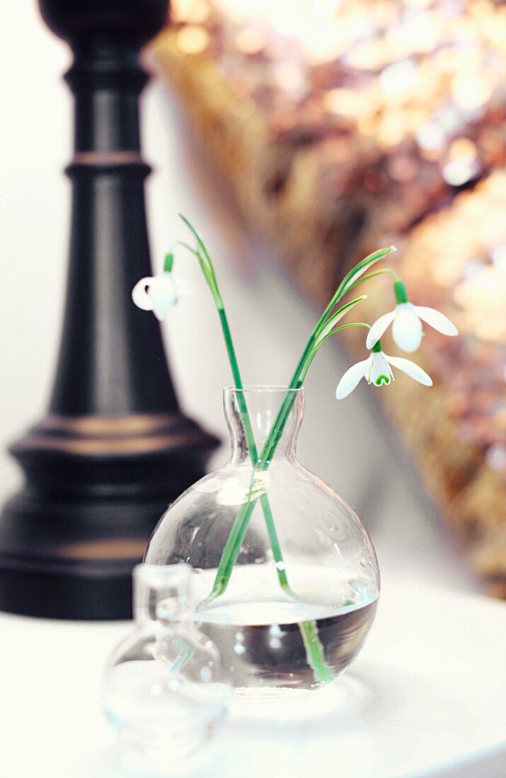 Glass vase of snowdrops