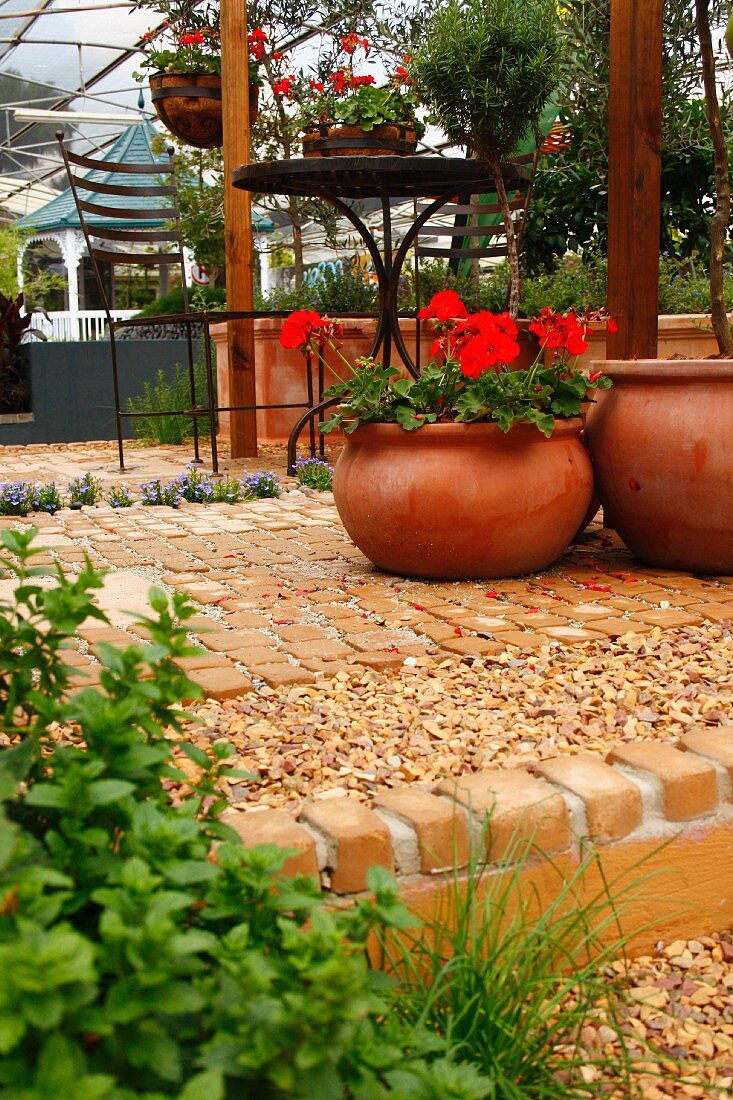 Geraniums in terracotta planter and wrought iron garden furniture in Mediterranean garden