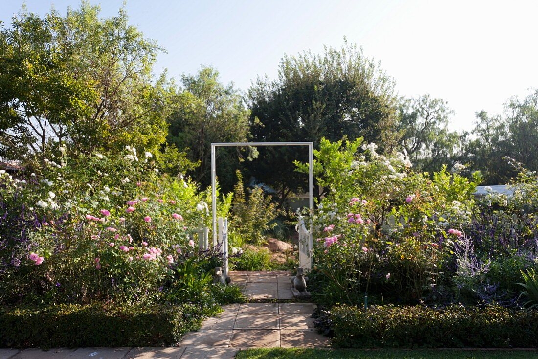 Plattenweg mit kleinem Tor zwischen Rosenbeeten im sonnigen Garten