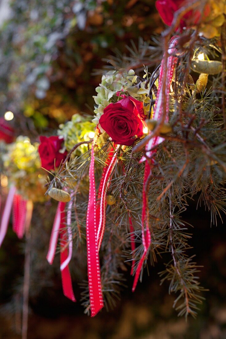 Weihnachtlich geschmückter Tannenbaum, Rosenblüten und Schleifenbänder