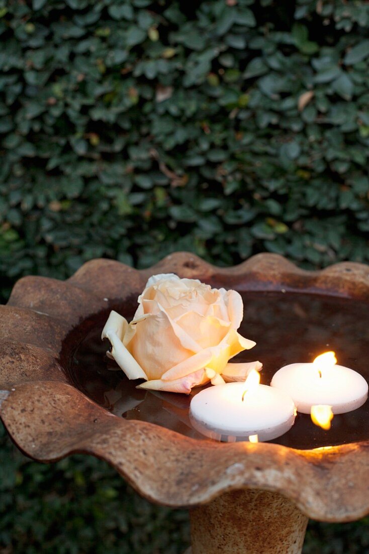 Rose and lit floating candles in bowl of water