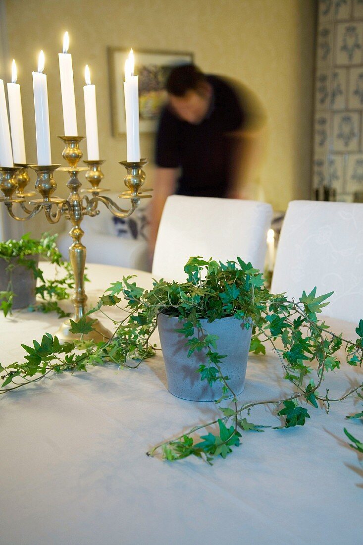 Mehrarmiger Kerzenständer mit brennenden Kerzen auf Tisch mit Zimmerpflanze