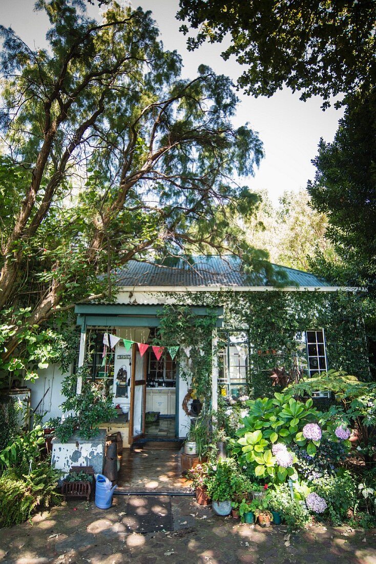 Eingewachsenes Vintage-Häuschen mit blühendem Busch und bunter Wimpelkette am überdachten Eingang