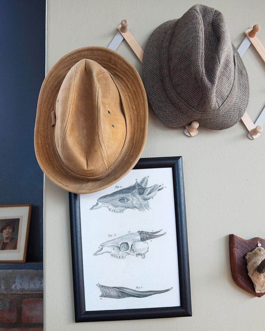 Two men's hats hanging from hat pegs above framed drawings of animal skulls