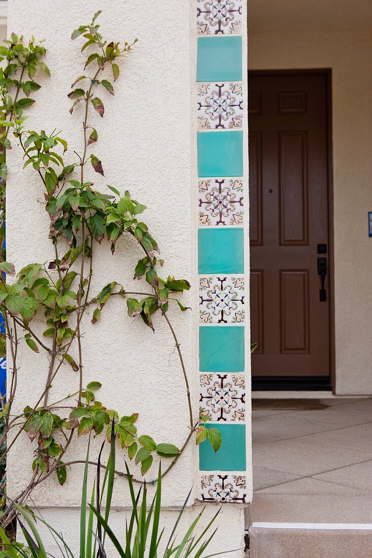Eingangsbereich eines Hauses verziert mit dekorativen Wandfliesen & Kletterpflanze