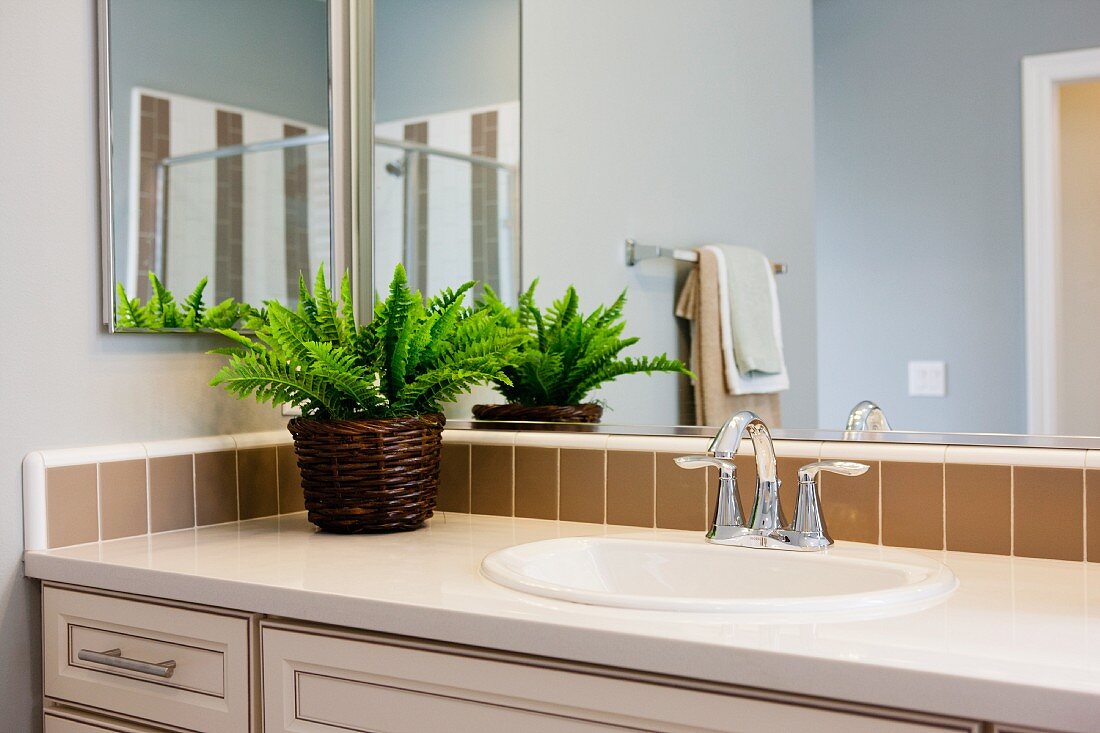Waschtisch vor Spiegelwand mit Grünpflanze dekoriert