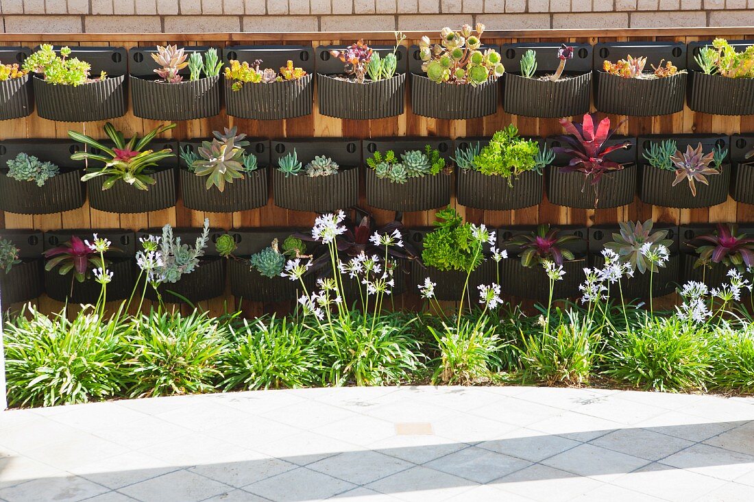 Verschiedene Pflanzen in aufgehängten Pflanzgefässen an Mauer im Freien