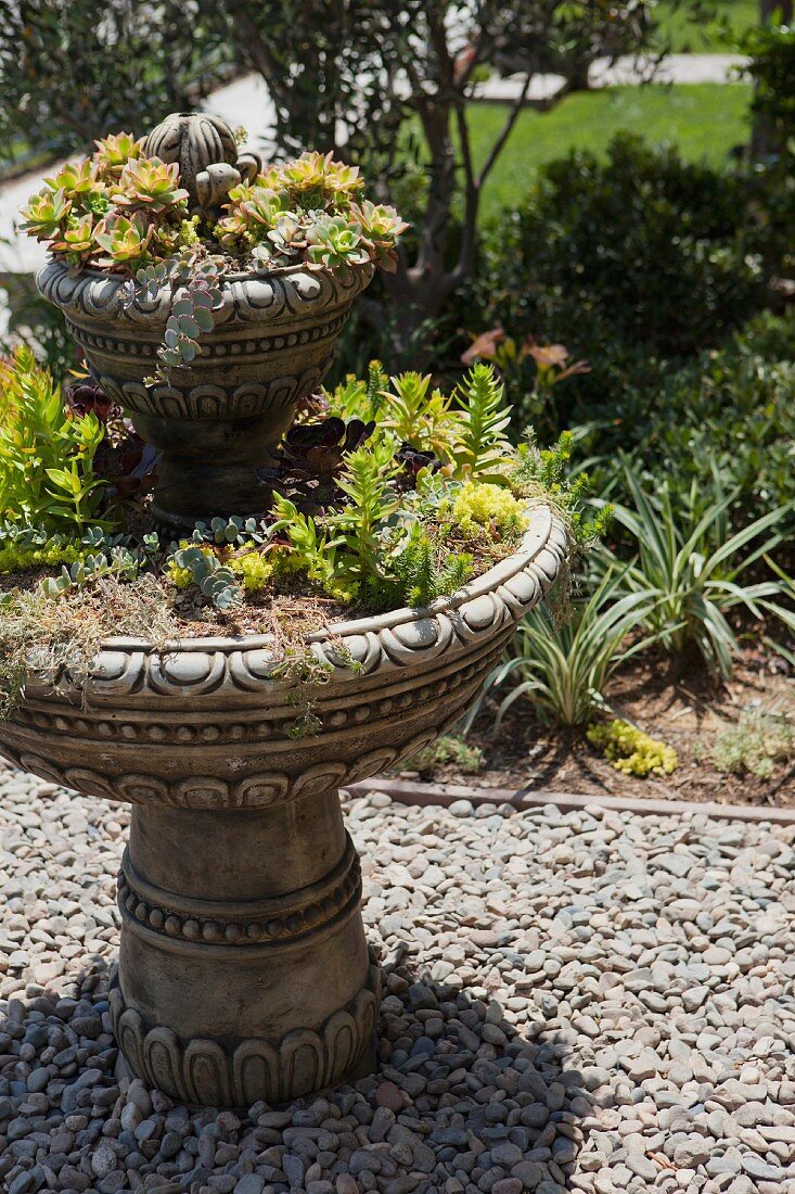 Blick auf antiken, mit Sukkulenten bepflanzten Springbrunnen in Gartenanlage