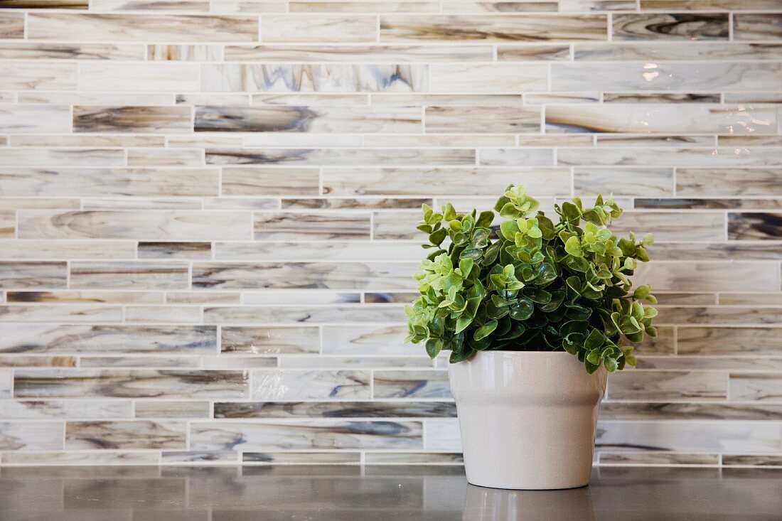 Close-up of potted plant against tiled wall