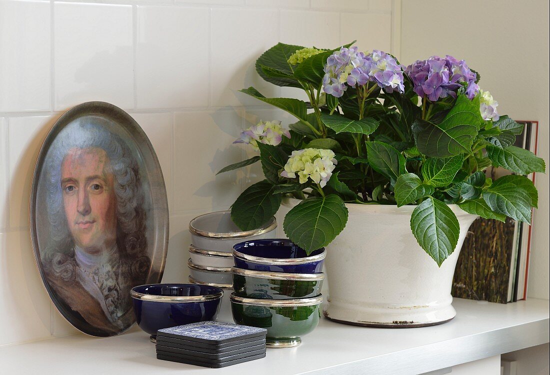 Potted hydrangea, Moroccan dishes with silver rims and historical portrait on try on surface