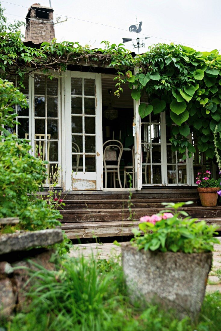 Blick vom Garten auf Sommerhaus mit Kletterpflanzen berankt, Holzstufen vor offener Terrassentür