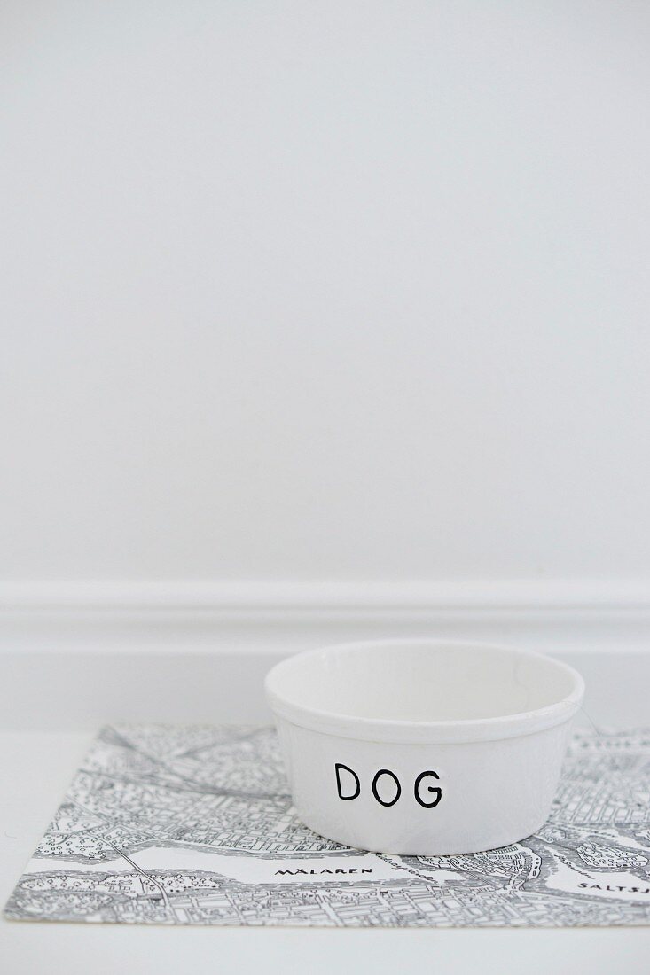 White dog bowl labelled 'Dog'
