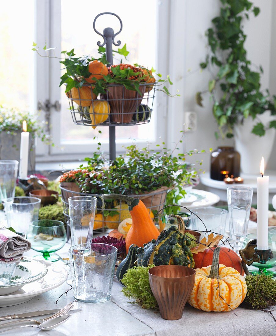 Autumnal arrangement of ornamental squash, cake stand and candles on table