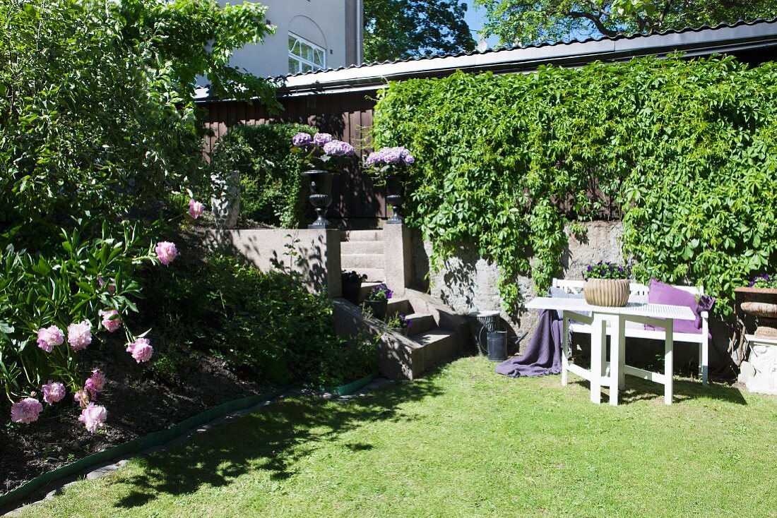 White table and bench on lawn in front of climber-covered wall with steps to one side